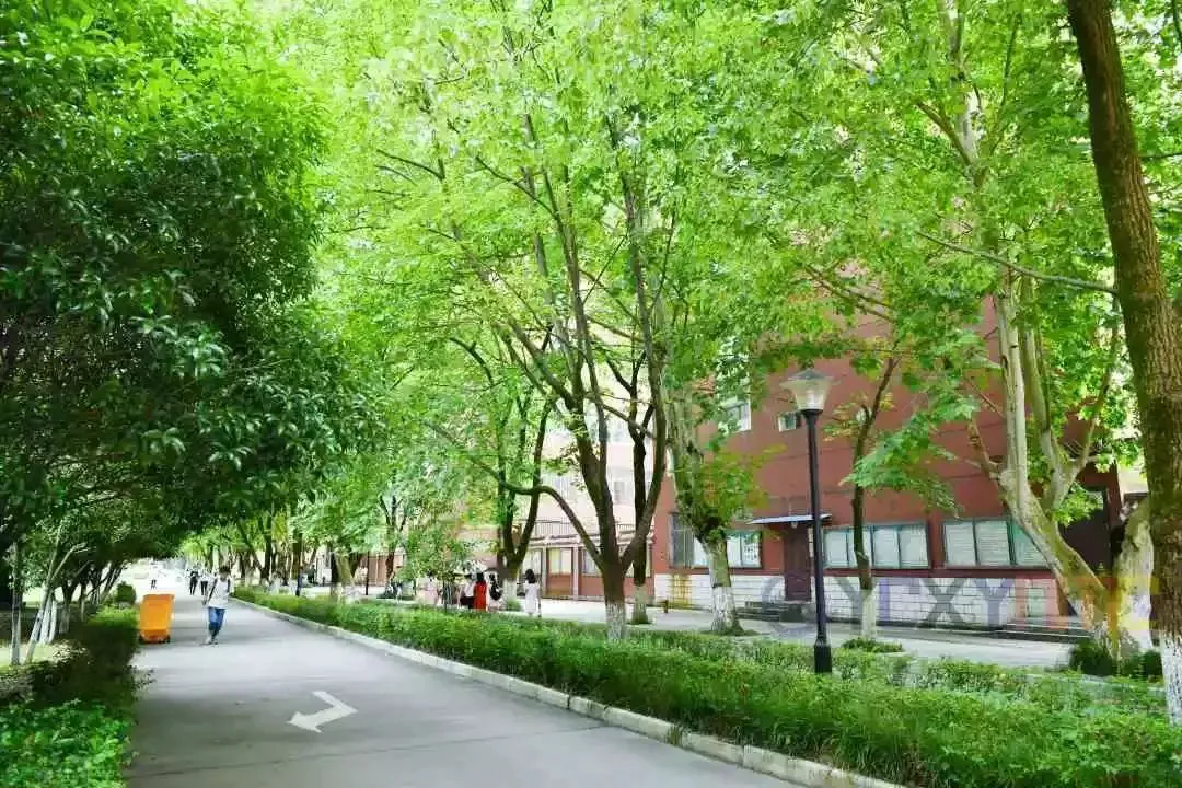 刻苦训练篮球时如何避免受伤的建议_2